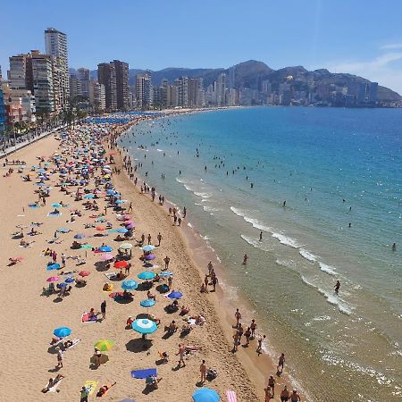 Lux Center - Fincas Arena Benidorm Eksteriør bilde